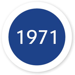 1971 year