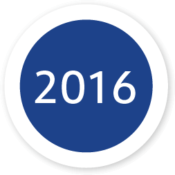 2016 year